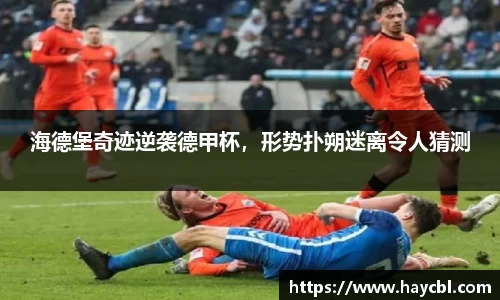 威廉希尔足球网